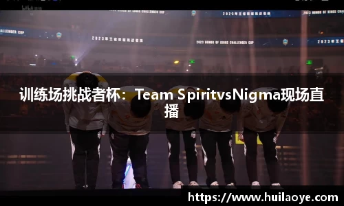 训练场挑战者杯：Team SpiritvsNigma现场直播