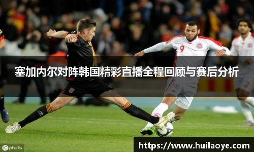 中欧体育