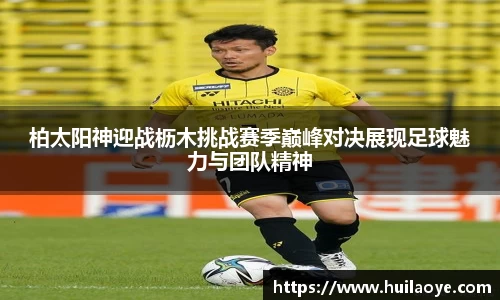zoty中欧